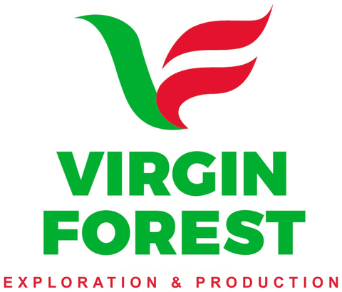 Virgin Forest E&P Ltd